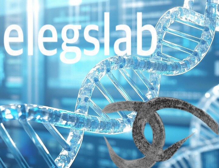 [VC 포트폴리오] '예쁜꼬마선충' 주목한 엘렉스랩...AI 신약개발 새 지... - 뉴스 썸네일 이미지