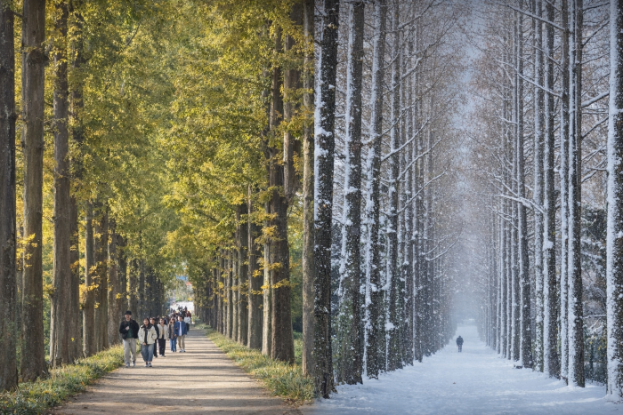 [N2 뷰] 2026년 전남산림연구원, 숲의 연구를 산업과 치유로 넓히다 - 뉴스 썸네일 이미지